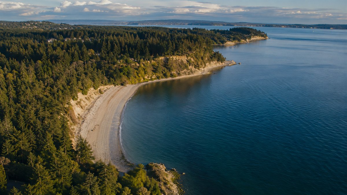 Aerial photo of Saltwater State Park and the Des Moines shoreline