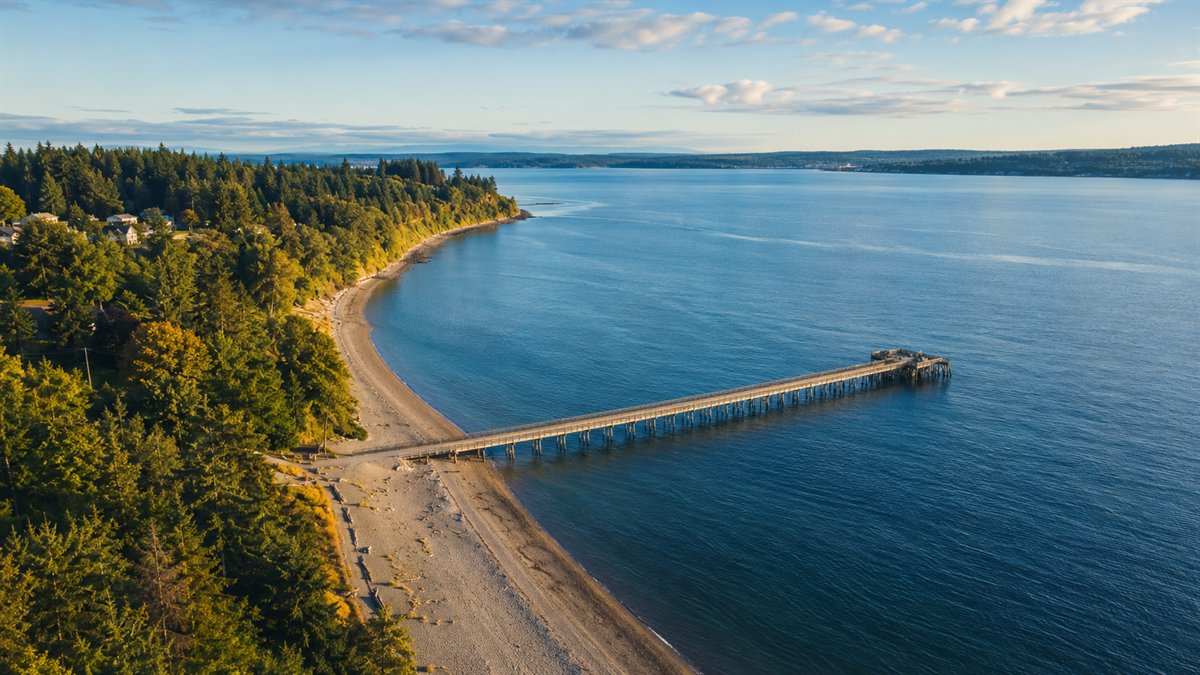 Aerial photo of the Dash Point shoreline on Puget Sound in Federal Way