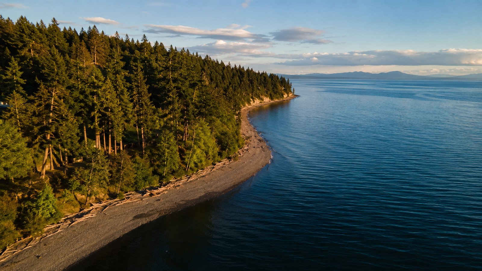 Aerial drone view of the Burien shoreline at Seahurst Park with the Olympic Mountains