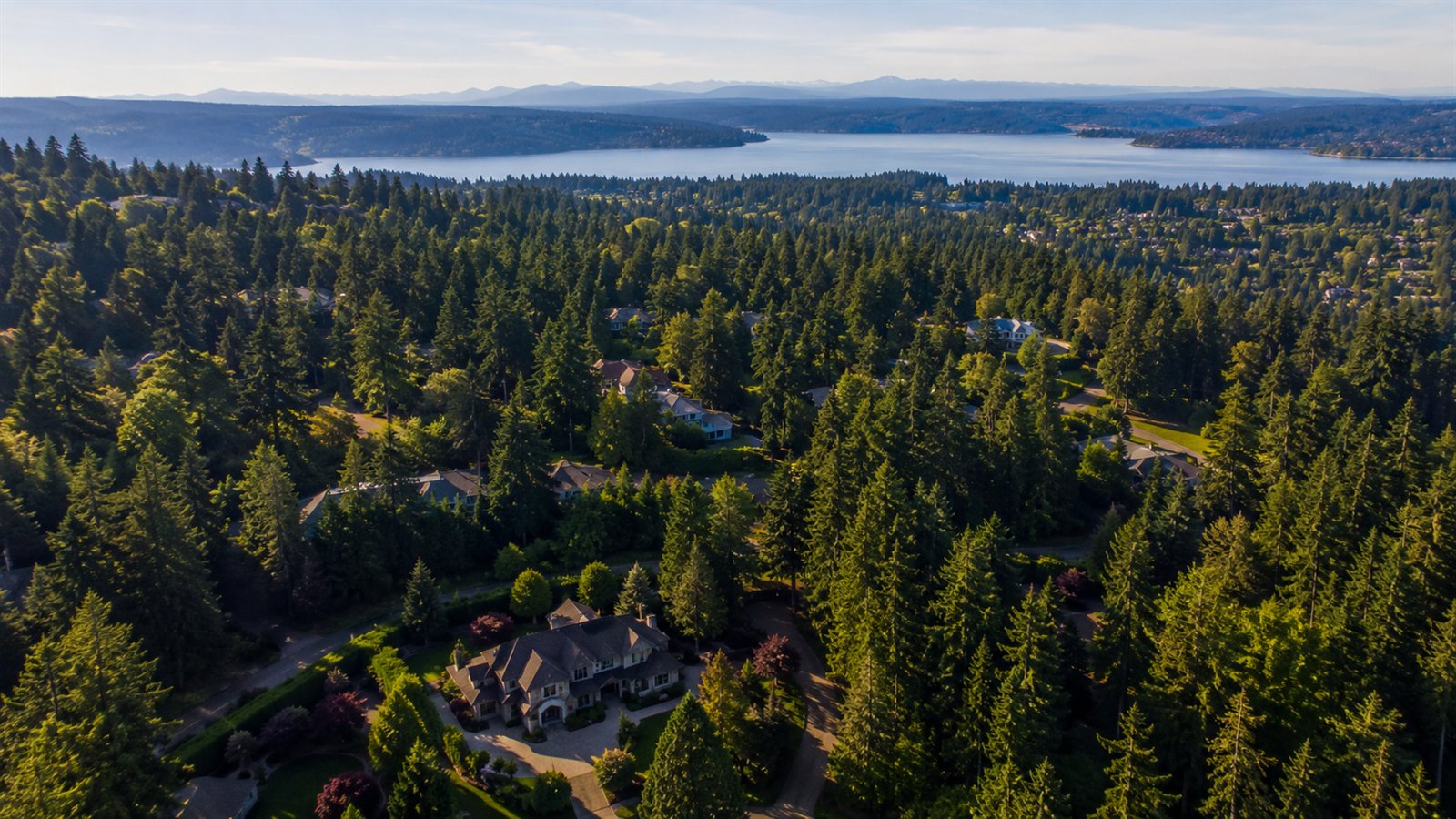 Aerial drone view of the wooded Sammamish Plateau and Lake Sammamish