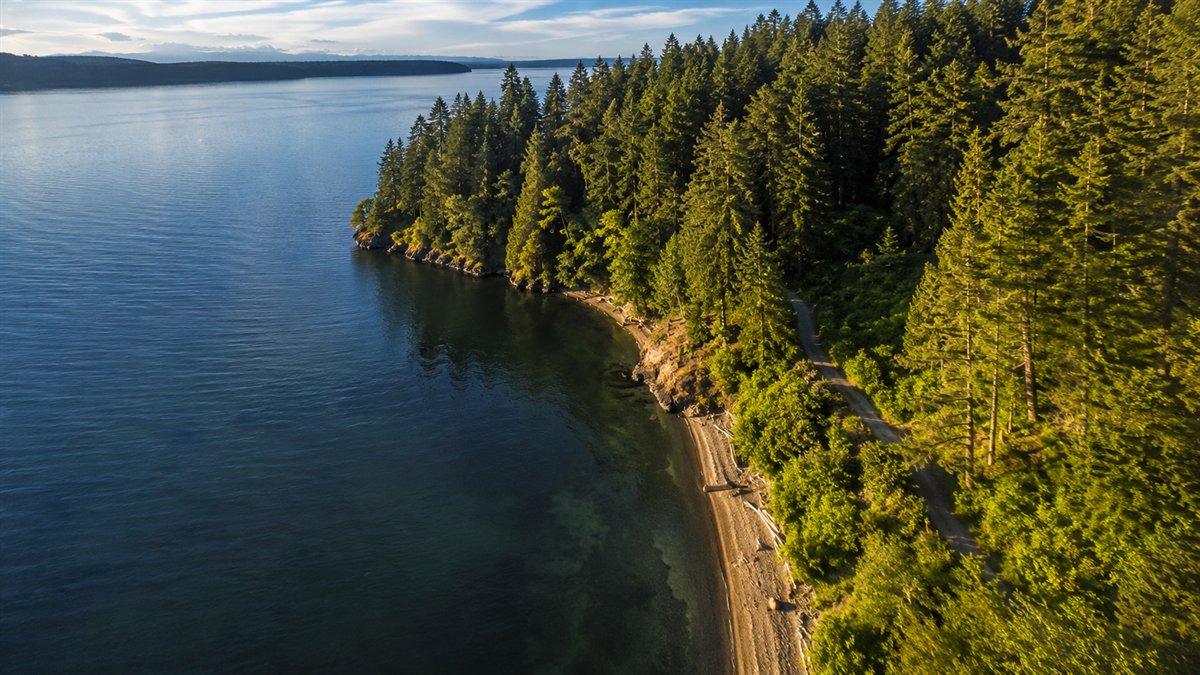 Aerial photo of forested Saint Edward State Park on the Kenmore shoreline
