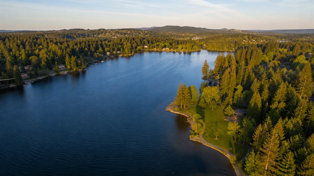 Aerial photo of Lake Wilderness and its forested shoreline in Maple Valley