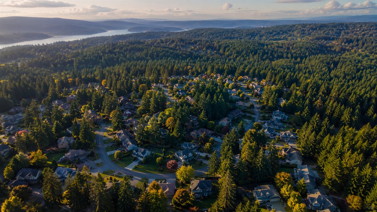 Aerial photo of wooded residential neighborhoods in Maple Valley