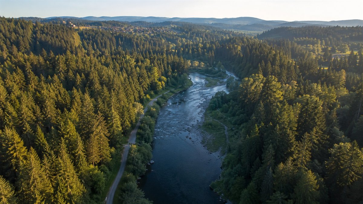 Aerial photo of the Cedar River and greenbelt trail near Maple Valley