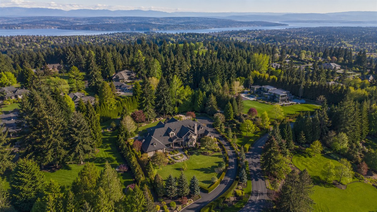 Aerial photo of wooded estate homes on the Sammamish Plateau